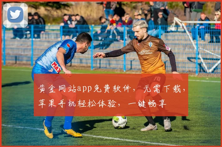 黄金网站app免费软件，无需下载，苹果手机轻松体验，一键畅享