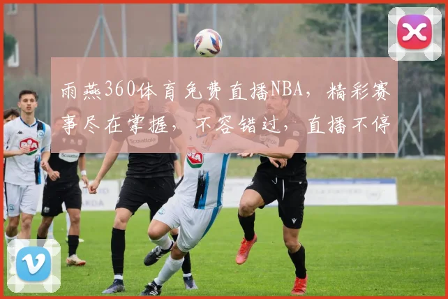 雨燕360体育免费直播NBA，精彩赛事尽在掌握，不容错过，直播不停歇，速来观看