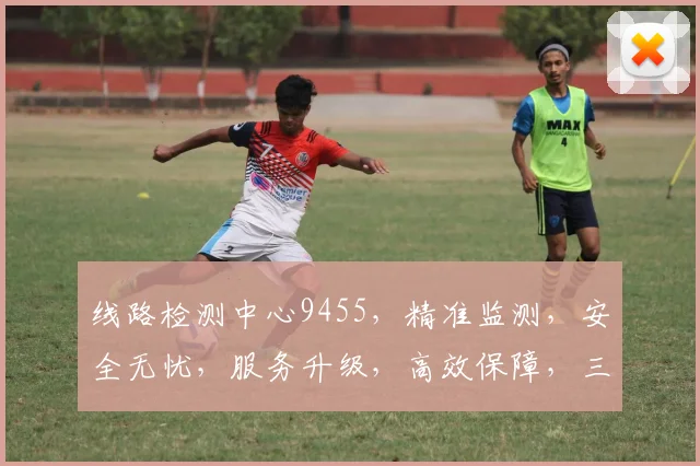 线路检测中心9455，精准监测，安全无忧，服务升级，高效保障，三重保障，值得信赖