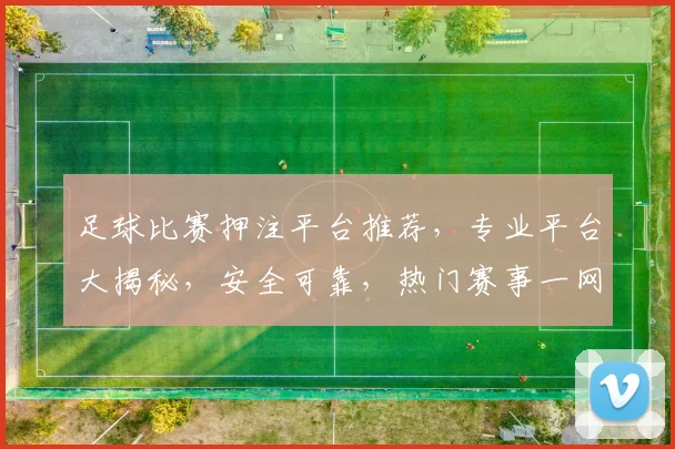 足球比赛押注平台推荐，专业平台大揭秘，安全可靠，热门赛事一网打尽，让您轻松赢利